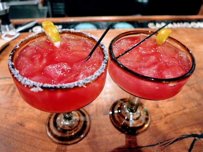 prickly pear margaritas