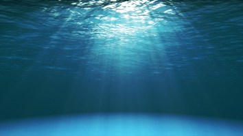 Explorer Sets World Record For Diving To The Deepest Known Point On Earth And The Bottom Of The Ocean Sounds Like A No For Me, Dawg