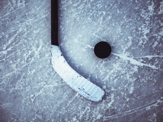hockey puck and stick