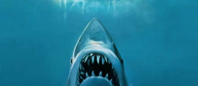 cage diver captures real life great white shark copying iconic jaws movie poster