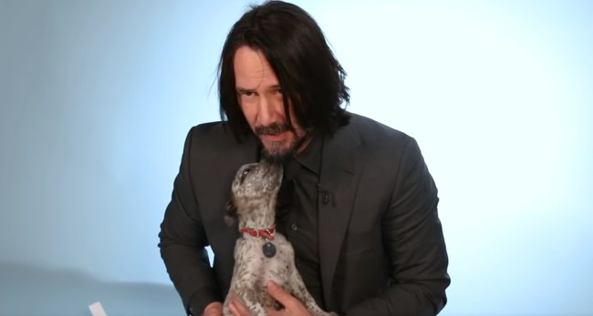 'John Wick' star Keanu Reeves answers questions while playing with puppies for BuzzFeed interview