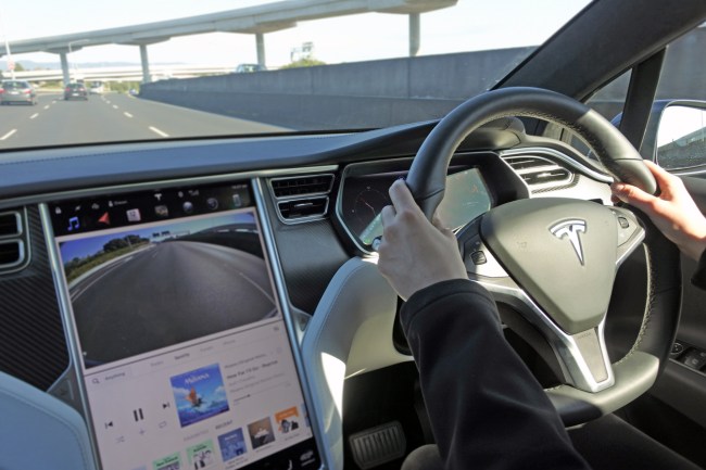 tesla drivers drunk driving sex