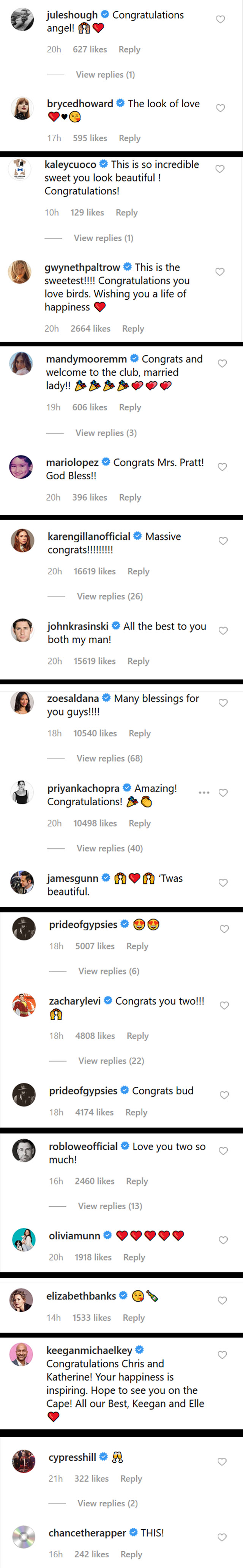 Chris Pratt And Katherine Schwarzenegger Got Married Photo Comments