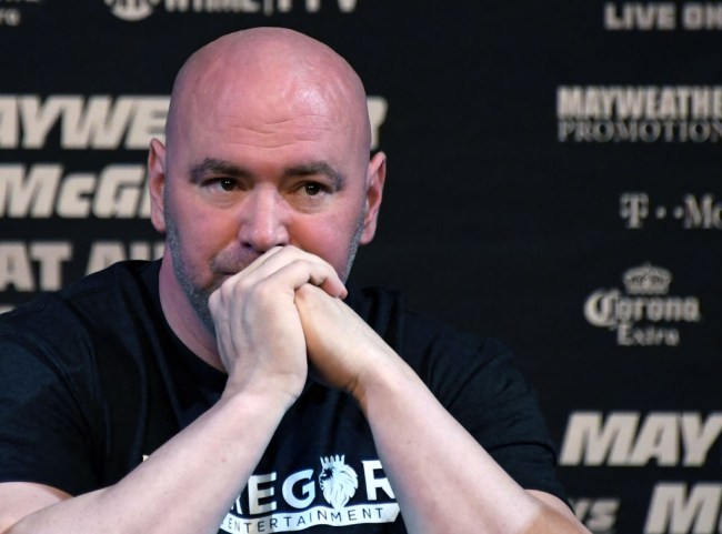 dana white tom cruise justin bieber fight