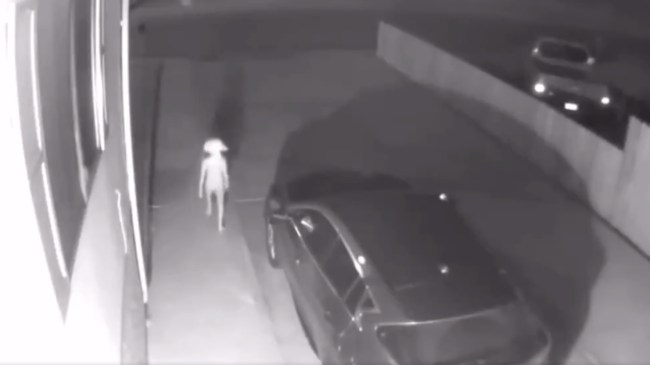 Dobby the House Elf from Harry Potter seen on security camera video goes viral on Twitter