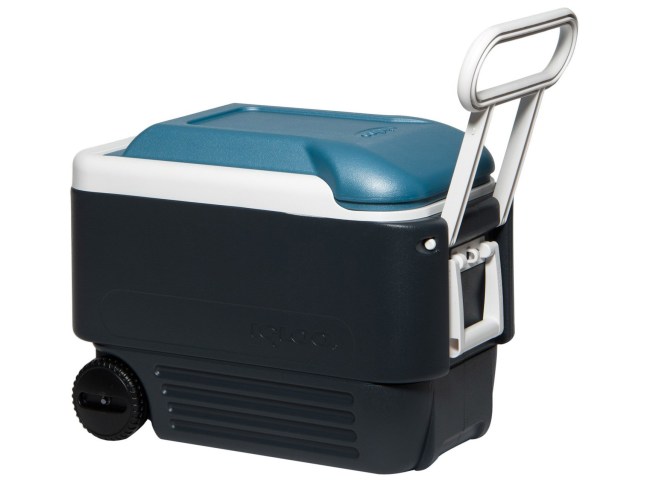 The Best Camping Coolers