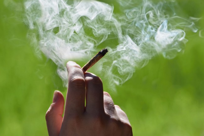 Coroner says woman overdosed from marijuana but experts are skeptical she died from THC.