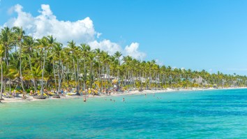 47 Jimmy Buffett Fans Get Violently Sick On Vacation In Dominican Republic, One Parrothead Loses 14 Pounds