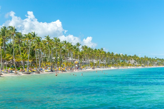 Group of Jimmy Buffett fans known as Parrotheads got violently sick while staying at a Dominican Republic resort Hotel Riu Palace Macao.