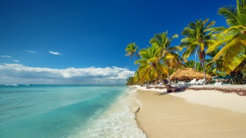 Two More American Tourists Mysteriously Died At Dominican Republic Resorts, Bringing Recent Death Toll To 9