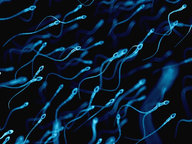 A homeless 18-year-old in East Harlem is the latest to receive the sperm from a man who will be able to claim 50 babies in July, named the "Sperminator"