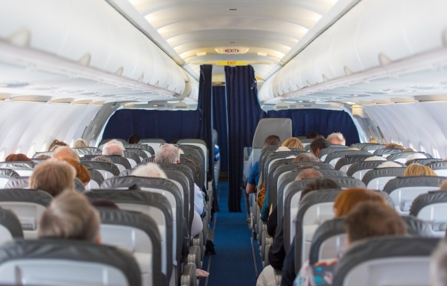 United Airlines flight from Venice, Italy to Newark, New Jersey, had an invasion of biting ants according to Charlotte Burns, who tweeted out the attack.