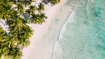 11th American Tourist Death Reported In Dominican Republic, Man Died With Green Foam Coming From His Mouth