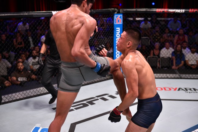 Aalon Cruz knocks out Steven Nguyen