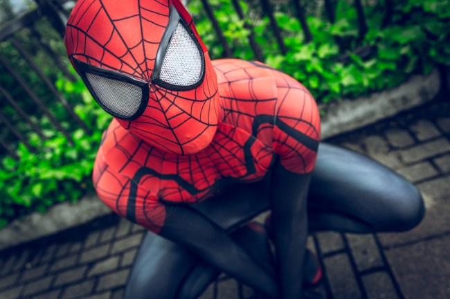 Spiderman cosplay