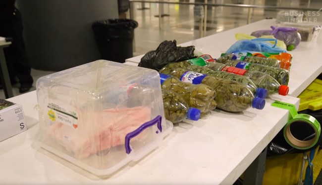 smuggled food airport