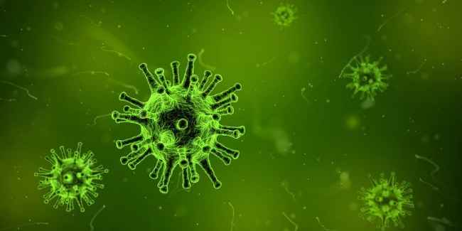 Bacterium Evolving Into Brand New Superbug Resistant To Disinfectants