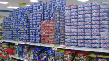 An Alarming Number Of College Students Across The U.S. Are Overdosing – On Tuna