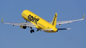 VIDEO: Chaos Erupts As Bat Terrorizes Spirit Airlines Passengers Mid-Flight