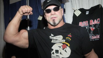 What Happens To WWE Wrestlers After Retiring? Here Are 11 Former Stars With Incredibly Different Jobs Now