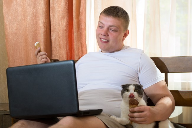 Man with laptop and funny cat eating ice cream cone in the bed