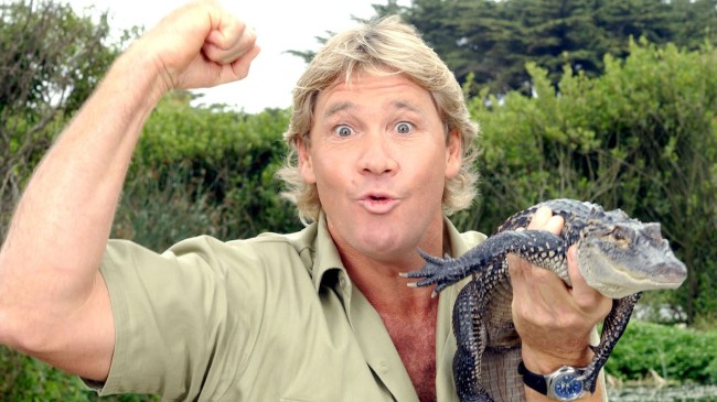 steve irwin
