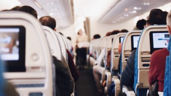 Woman Brought A Miniature Horse Named ‘Flirty’ On An American Airlines Flight