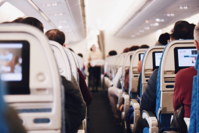 A person brought an emotional support miniature horse on an American Airlines flight, shocking passengers on the plane.