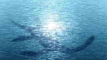 DNA Test Has Determined The Loch Ness Monster May Be A Giant Eel, Ruled Out Possibility Of Being A Plesiosaur