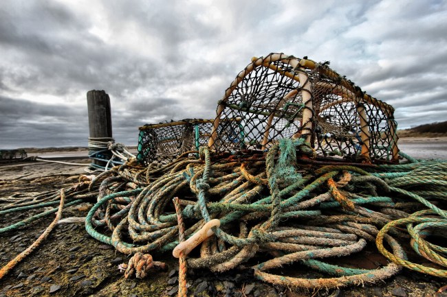 lobster trap