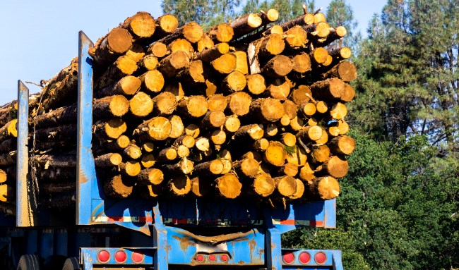 Driver Escapes With Only Minor Injuries When Logs Ram SUV Windshield