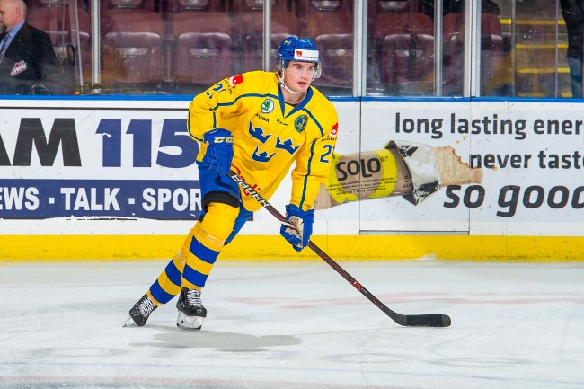 Nils Höglander Vancouver Canucks prospect The Michigan goal
