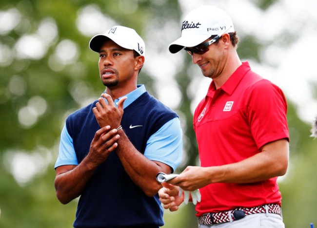 tiger woods adam scott