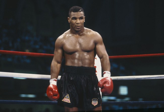 53-year-old Mike Tyson showed that he still has his lightning quick punches in boxing display while in jeans.