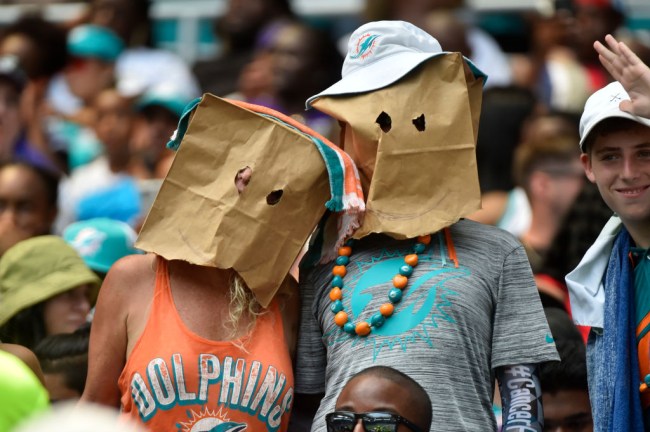 dolphins steelers blitz touchdown