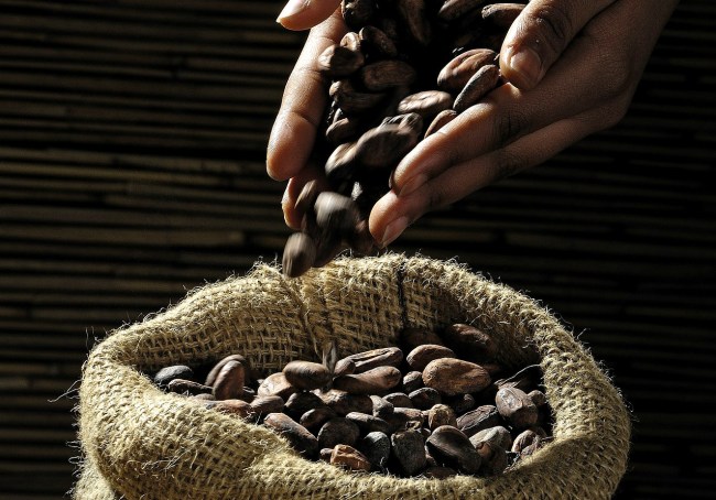 Origin And History Of Chocolate