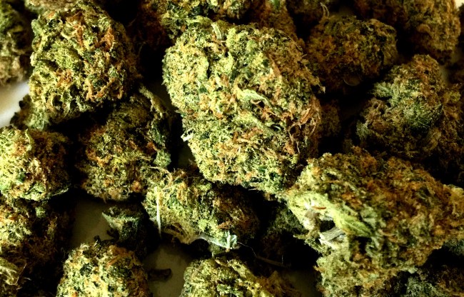 Two Guys Arrested In Truck Filled With 420 Pounds Of Marijuana