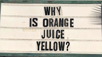50 Of The Best Damn Photos On The Internet Today