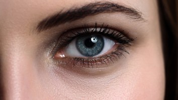 Woman Jogged Through A Swarm Of Flies And A Month Later She Had Parasitic Worms Wriggling Around In Her Eyes