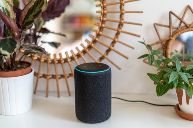 Silvia Galva was impaled by a spear-tipped bed post in a struggle with her boyfriend Adam Reechard Crespo. Police in Hallandale Beach, Florida, believe that the couple's Alexa may help solve the murder mystery because it could have recorded her death.