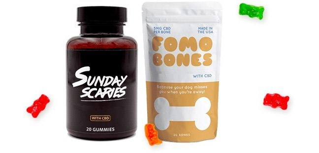 best CBD gummies 