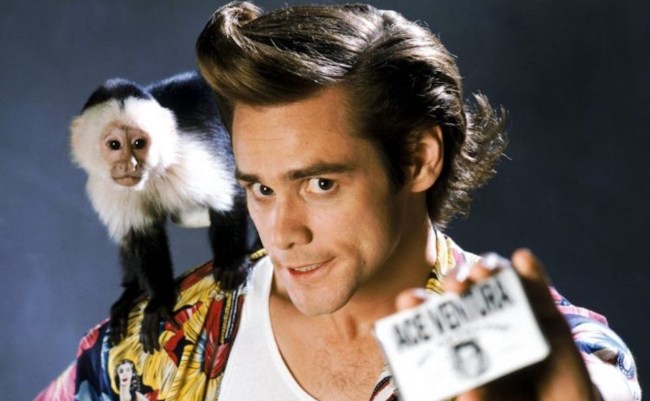 ace ventura