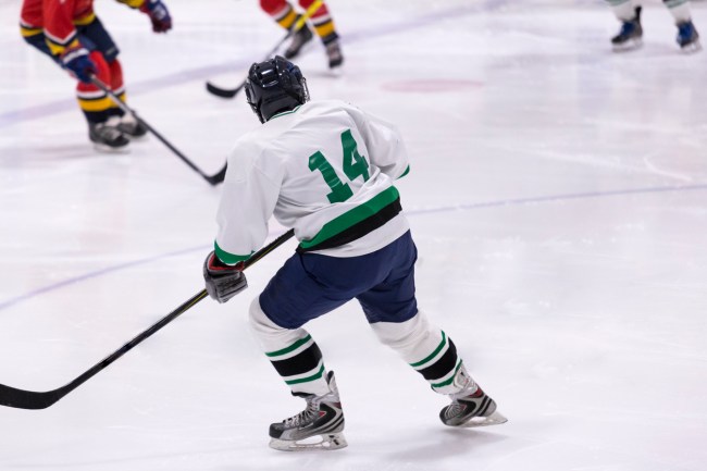 Elmira Enforcers played against Danbury Hat Tricks in a Federal Prospects Hockey League game where 55 years old Elmira owner Robbie Nichols played.
