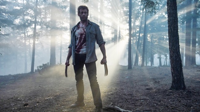 wolverine