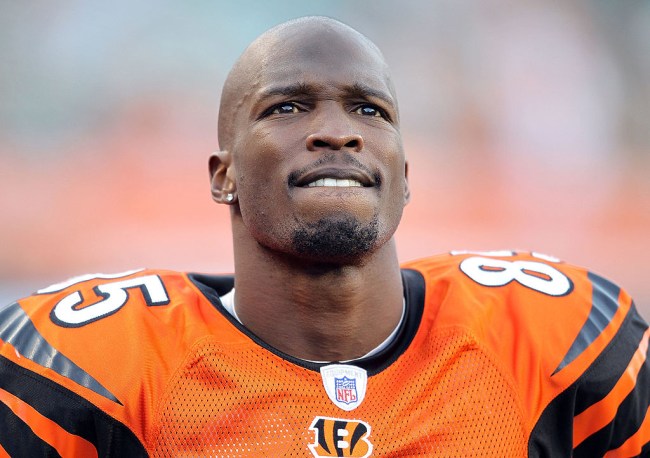 chad johnson viagra before every game