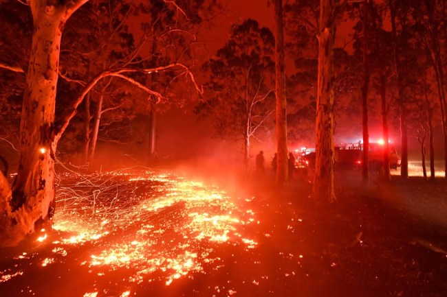 Models are giving out nude photos to people who donate money towards helping the Australian wildfires.