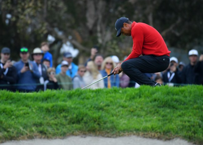 tiger woods kobe bryant reaction