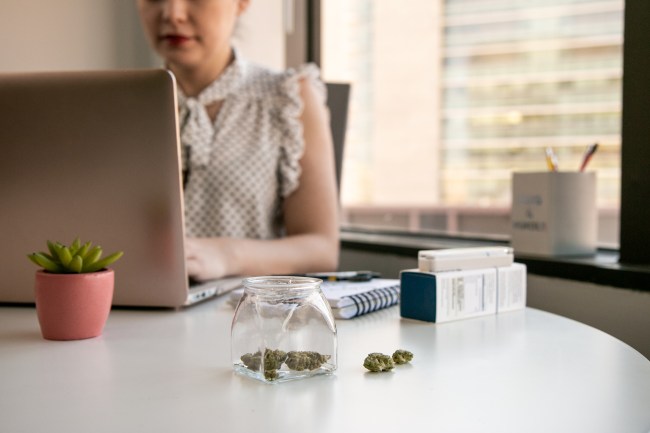 Weed employment laws