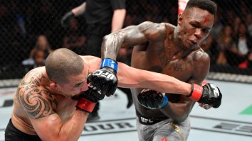 Here’s Why UFC 248 is the Perfect Event for Brand New Fans