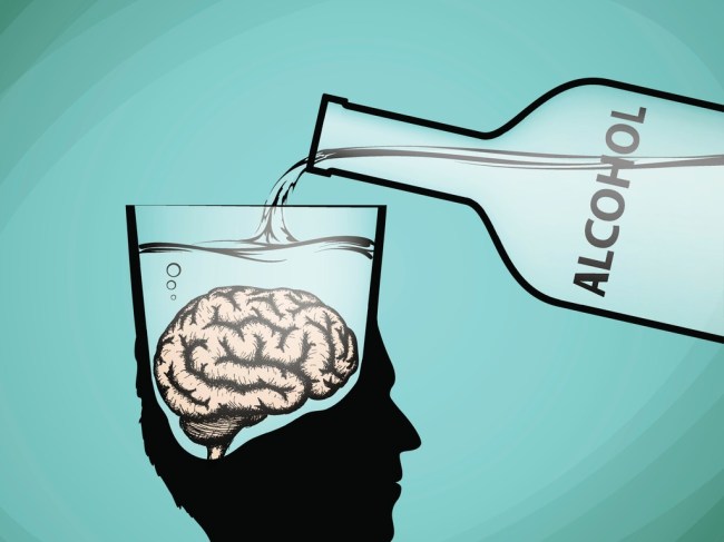alcohol brain